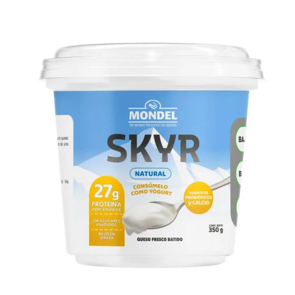 Skyr Natural 350 g Skyr Natural 350 g - Mondel | Mr. Cheese